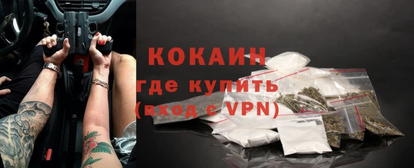 не бодяженный Бородино