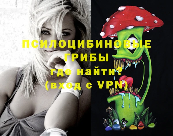 мдпв Бронницы